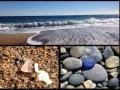 sea glass photo contest gallery