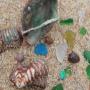 sea glass photo contest gallery