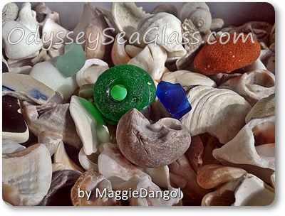 maggie_dangol_beach_finds