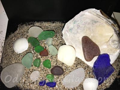 Sarah Gebhardt Ohio Beach Finds 2