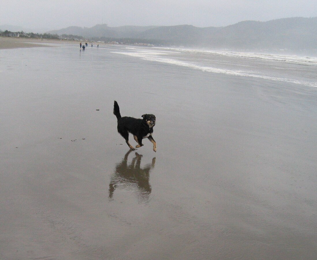 agate beach oregon low tide