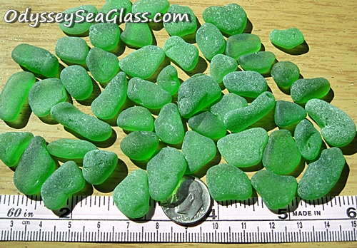 "Oyster Thief" Green Sea Glass